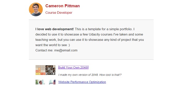 Website Optimization project image
